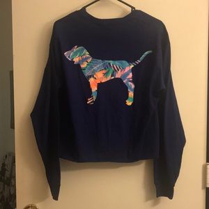 Victorias Secret PINK Long Sleeve Campus Crop Top